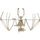 Malatec 00022005 Bat Skeleton - Halloween Decoration, 30 cm, Beige