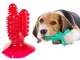Cactus Dog Chew Toy and Toothbrush for Dental Care