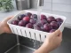 Food Storage Container with Lid and 2 Inserts, 29.5 x 22 x 7 cm, White