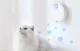 Rojeco RJWQ-01 Smart Cat Litter Box Deodorizer