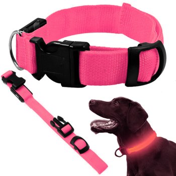 Adjustable Light Up LED Dog Collar for Night Safety, up to 59cm, Pink