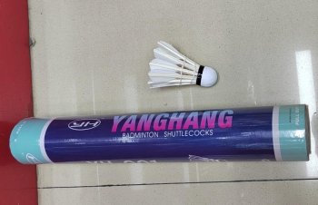 Feather Badminton Shuttlecocks 12-Pack Durable Birdies, White