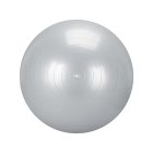 Exercise Fitness Gym Ball 65 cm