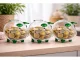 Small Glass Piggy Bank for Coins and Bills, Clear Money Saving Jar for Adults, Gift Idea