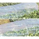 Gardlov 25382 Garden Mini Greenhouse - Foil Tunnel, 300x45x40 cm, Transparent