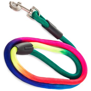 Stylish durable dog leash, 120 cm x 1.2 cm, multicolour