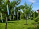 Reflective Bird Repellent Tape 50mm x 50m, Silver
