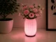 Decorative Table Lamp and Vase 2-in-1 LED RGB with Remote, Ecru