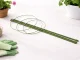 Plant Support Ring 90 cm with 3 Adjustable Rings, Green