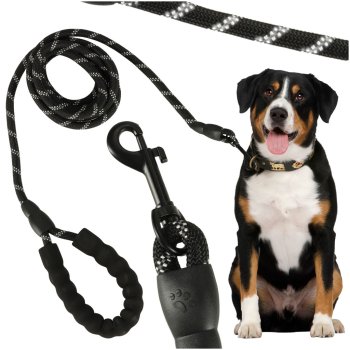 Heavy-Duty Reflective Rope Dog Leash for Training, 3m, Black