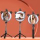 LED Selfie Ring Desktop Light Flash Tripod with Phone Holder and Bluetooth Remote Control (P40D-3), Black