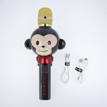Maxlife MX-100 Karaoke Portable Microphone with Bluetooth Speaker (WITHOUT ORIGINAL PACKAGING)
