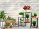 Wooden Flower Stand / Shelf Unit with 6 Shelves, Brown, 96x74x25 cm