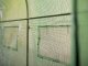 Garden tunnel cover film 2x3m (6m²) by Plonos, green