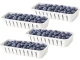 Food Storage Container with 4 Compartments, Drainers and Lid, 29.5 x 22 x 7 cm