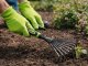 Handheld Garden Fan Rake for Flower Beds and Soil Loosening DIVO, Black-Green