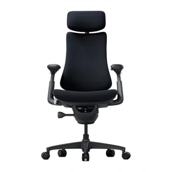 Libernovo Omni 48cm Ergonomic Chair, Black