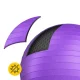 4Fizjo 1760 Gymnastic Ball 85 cm, Purple