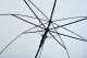 Malatec Transparent Automatic Umbrella, White