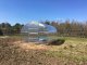 Greenhouse Baltic Lt 3X6M With 6Mm Polycarbonate; 4779037491254