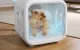 Homerunpet PD50 Intelligent Hair Dryer for Pets Cats Dogs, white