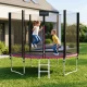 4FIZJO sodo batutas CLASSIC su tinklu ir kopėčiomis 312 cm 10 FT, rožinis ir juodas