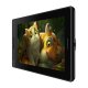 Huion Kamvas Pro 13 GT133 Graphics Tablet