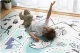 Nukido NK-342 Educational Kids Roll-up Foam Mat