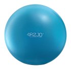 4fizjo Exercise Fitness Pilates Gym Rehabilitation Ball - 22 cm, Blue