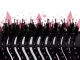 Multifunctional 4-in-1 Hair Dryer Brush Styler 1000W