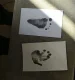 Ruhhy Baby Hand and Footprint Kit Clean-Touch