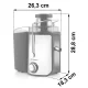 Berdsen BD-750 Juicer 600W, Black