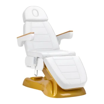 Electric Cosmetic Chair Sillon Lux 273B 3 Motors Gold White