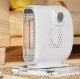 Portable Mini Electric Fan Heater 500W, White