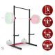 Neo-Sport Apex Frame 130400 Freestanding Pull-Up Bar & Stand
