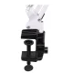 Activeshop PiX 314 Cosmetic Desk Lamp, White