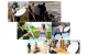 Puluz 5-in-1 Photo Reflector with Case (60cm)