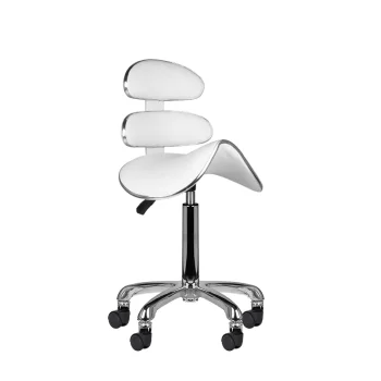 AM-880 Beauty Stool with Backrest, White