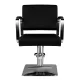 Hair System HS202 Styling Chair, Black