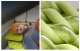 Inflatable Camping Pillow Flextail Tiny Pillow Green 77g