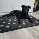 Purlov XXL Dog Bed 100x70 cm