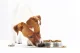 Metal Bowl for Dogs and Cats with Rubber Base, 150 ml, Silver