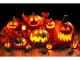 Large Halloween Spider Decorations, 4 pcs, Black