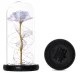 Eternal Rose in Glass with LED, White