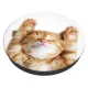 Popsockets 2 Snoozy Cat Holder and Phone Stand