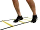 Training Ladder Stairs Steps For Running Sport