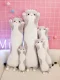 Plush Long Cat-shaped Hugging Pillow, 110cm