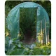 Walk-in Garden Greenhouse 6.6x6.6 ft (43 sq ft) Plonos Polytunnel for Plants