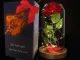 Eternal Rose in Glass Dome with LED Light - Red