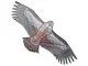 Flying Kite Eagle, 200cm